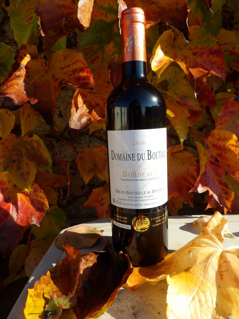 Bouteille de vin Domaine du Boutail déposée au milieu des feuilles de vignes